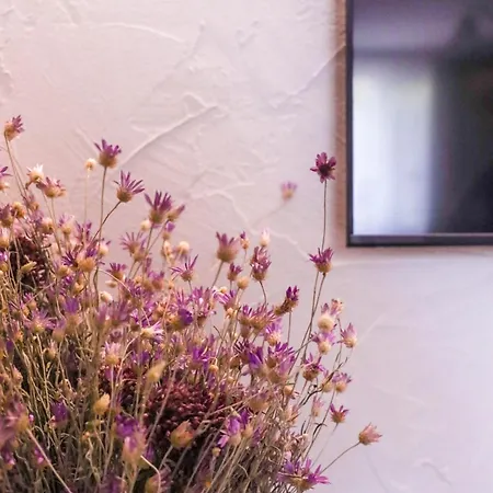 Апартамент Sea Siren 1bd Near Sea Garden By Apartmax Варна